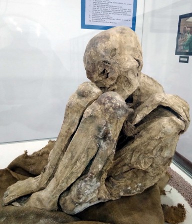 Momie mojocoya — Musée anthropologique de Sucre Momie mojocoya — Musée anthropologique de Sucre