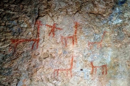 Cala Cala : lamas et humain Cala Cala : lamas et humain