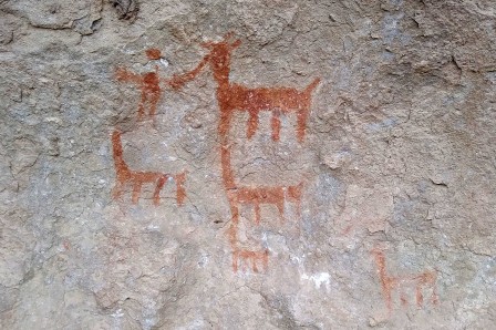 Cala Cala : lamas rouges, lamas blanc, humain.