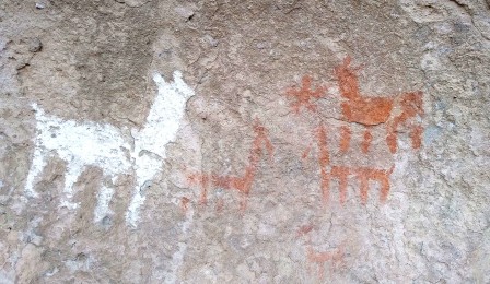 Cala Cala : le grand lama blanc. Cala Cala : le grand lama blanc.