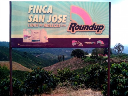 "Finca san José, libre de mauvaises herbes : RoundUp. Pas de quoi de vanter (heureusement, il y a aussi du bio)… Cartagena (Riseralda, août 2017).
