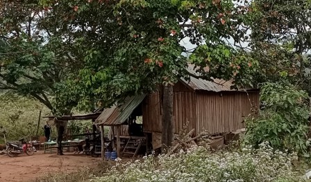 La phousao file sur la veranda de la maison endormie, le phoubao vient la charmer au son de son khaen... La phousao file sur la veranda de la maison endormie, le phoubao vient la charmer au son de son khaen...