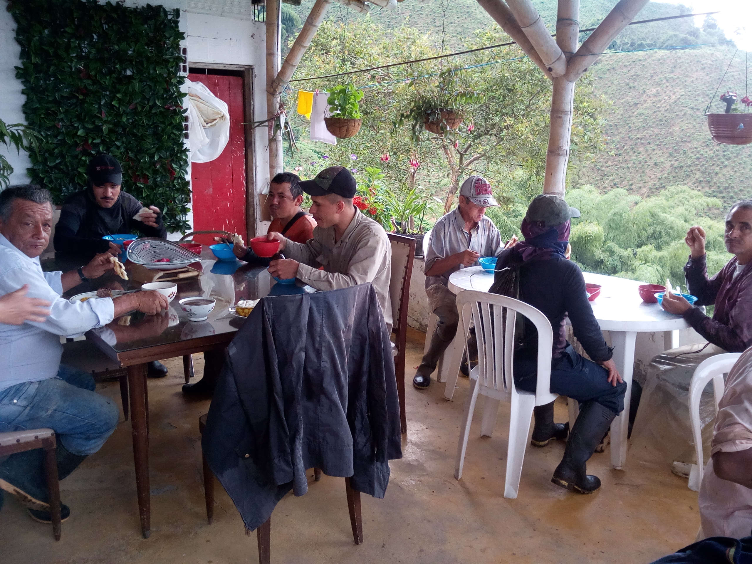 ''Almuerzo'' des cueilleurs de cerises de café dans une exploitation de « l’axe du café » ; au second plan, les plantations.