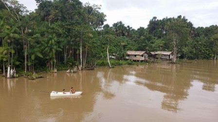 Estuaire de l'Amazone : le paradis terrestre ? mars 2016